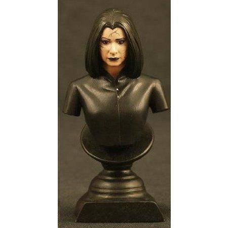 Buffy Dark Witch Willow Minibust Ornament フィギュア おもちゃ 人形