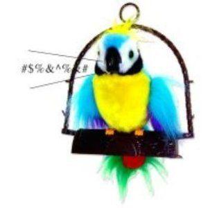 Ddi Polly-The Insulting Vulgar Parrot (Pack Of 12)