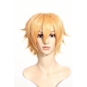 Iwatobi Swim Club Tachibana Makoto Short Anime Brown Cosplay Wig Anime フィギュア おもちゃ 人形