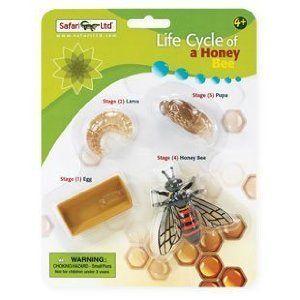 Safari 622716 Life Cycle of a Honey Bee Pack of- 3 フィギュア本体-ゲーム、おもちゃ-フィギュア