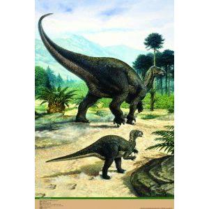 Safari Ltd. Iguanadon and Baby (Sibbick) Laminated Poster フィギュア おもちゃ 人形
