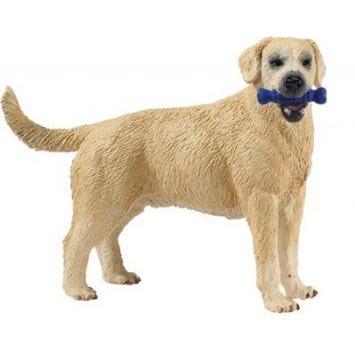 Safari: Labrador