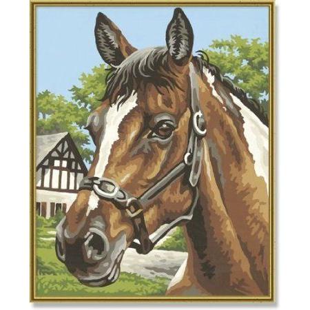 Schipper 9240 381 - Painting by Number, Horse Portrait, 24x30 珊 図形 手あそび あやつり人形 フィギュア-フィギュア本体
