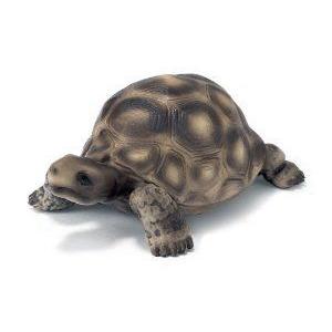 Schleich (シュライヒ) - Giant Tortoise フィギュア おもちゃ 人形