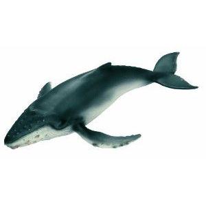 Schleich (シュライヒ) Humpback Whale calf フィギュア おもちゃ 人形