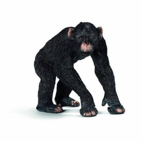 最先端 Schleich シュライヒ Male Chimpanzee Toy Figure By Schleich シュライヒ Toy ドール 人形 フィギュ 最新コレックション Loopbiketours Com