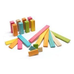 Tegu Tints Endeavor 22 Piece Set ブロック おもちゃ