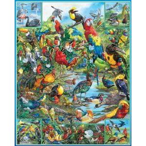 World's Most Beautiful Birds フィギュア おもちゃ 人形