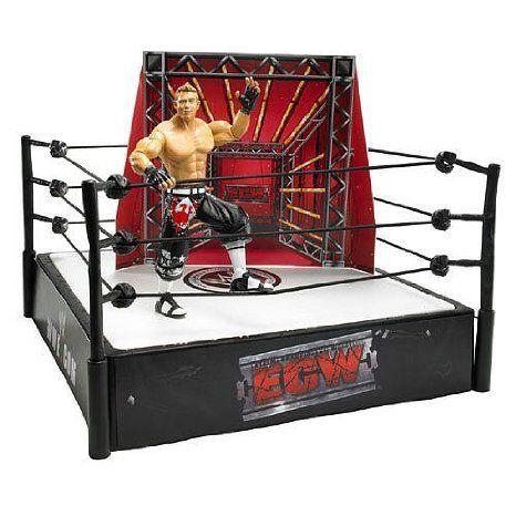 WWE (プロレス) Series 6 Ring and アクションフィギュア - The Miz Extreme Expo