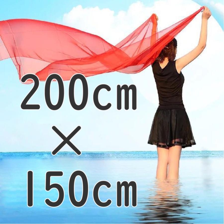 エトロリバーシブルオーガンジースカーフ エトロ(ETRO) スカーフ | 通販・人気ランキング - 価格.com