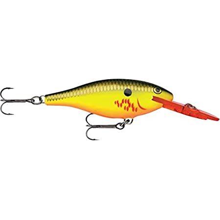 激安特価 Shad Rapala Rap Inch釣りルアー 出血ホットオリーブ 2 ルアー フライケース Panero Shop