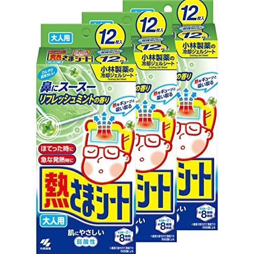 熱さまシート まとめ買い 大人用 冷却シート ミント 12枚×3個 肌にやさしい 弱酸性 小林製薬（Yahoo!・上田生活）