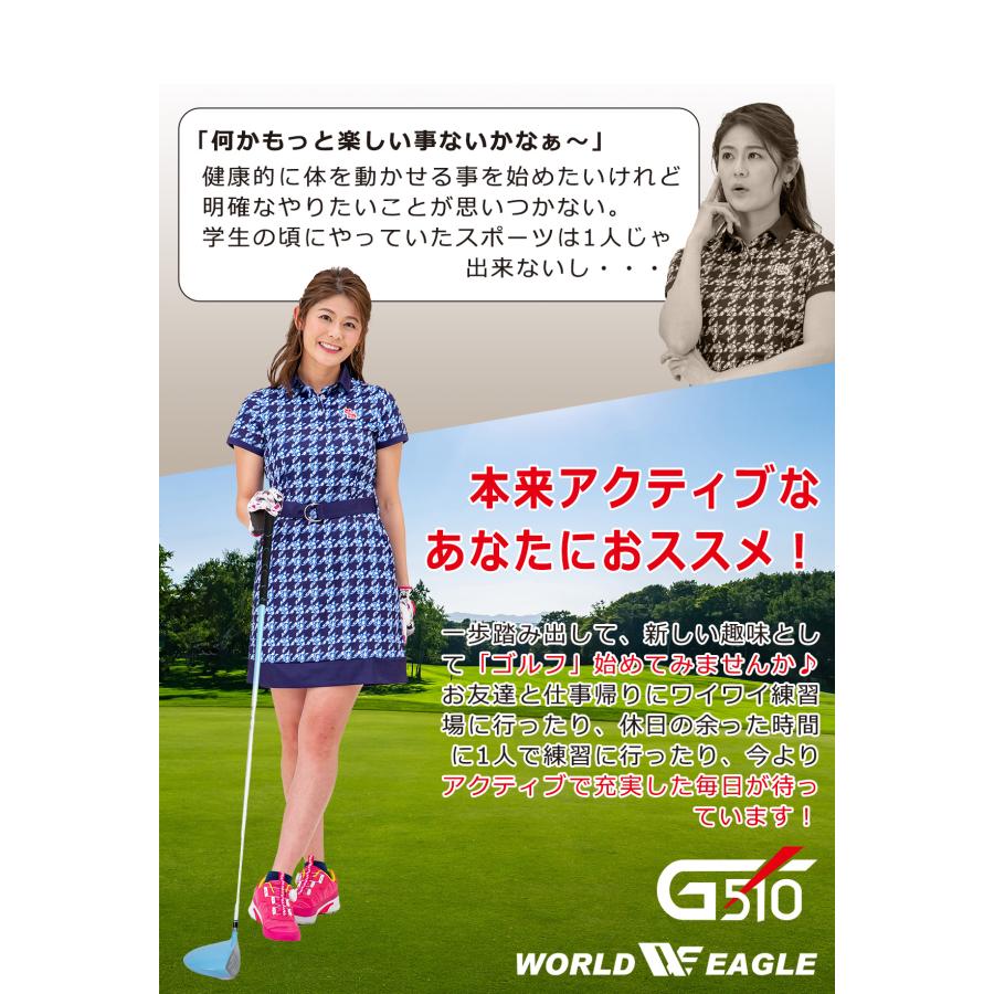 井戸木プロ推薦！ワールドイーグル WE-G510 16点 ゴルフクラブセット