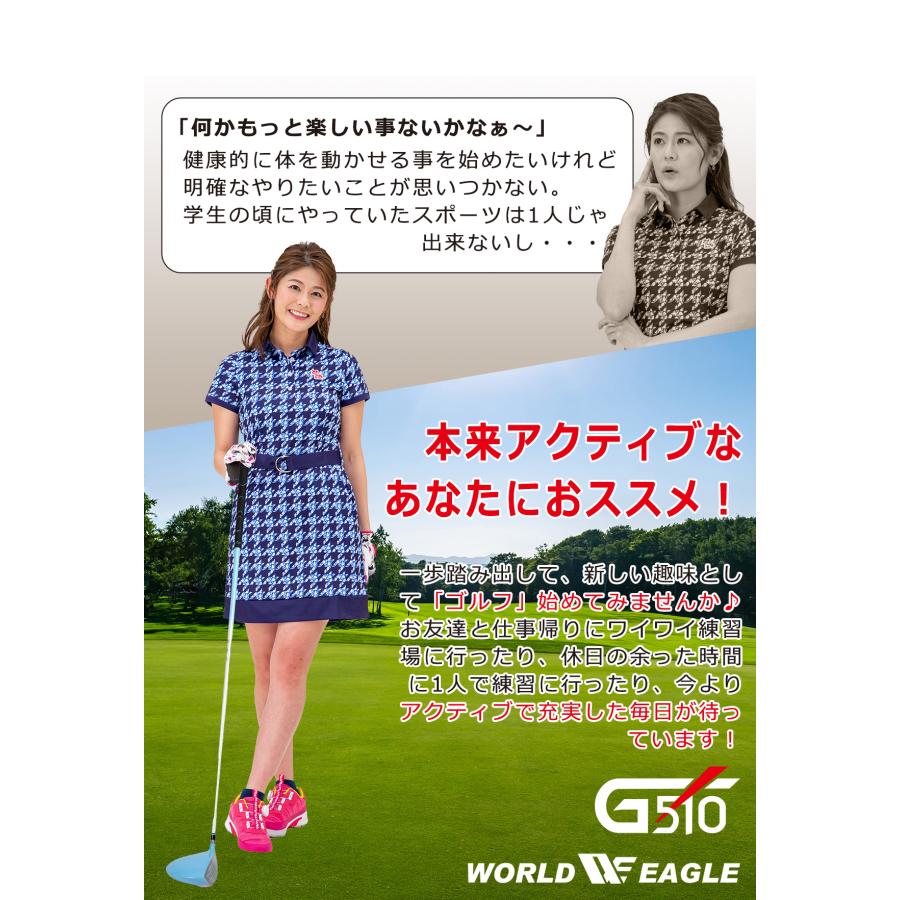 WORLD EAGLE ゴルフクラブセット ワールドイーグル レディース WORLD EAGLE ゴルフクラブセット ワールドイーグル レディース