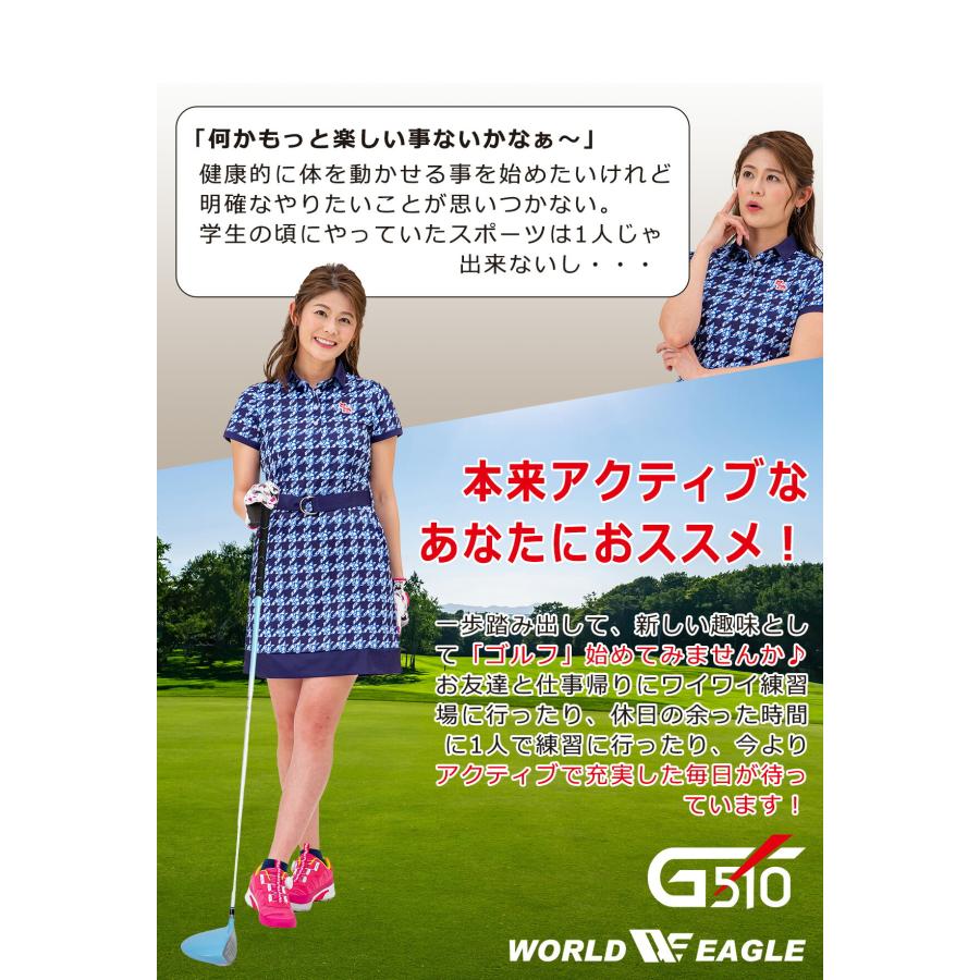 WORLD EAGLE ゴルフクラブセット ワールドイーグル レディース WORLD EAGLE ゴルフクラブセット ワールドイーグル レディース