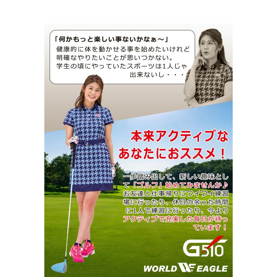 WORLD EAGLE ゴルフクラブセット ワールドイーグル レディース WE-G510