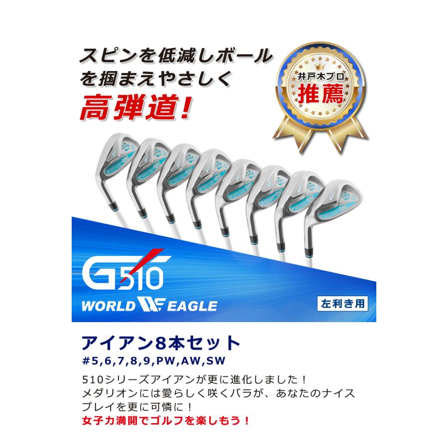 WORLD EAGLE アイアンセット ゴルフクラブ ワールドイーグル