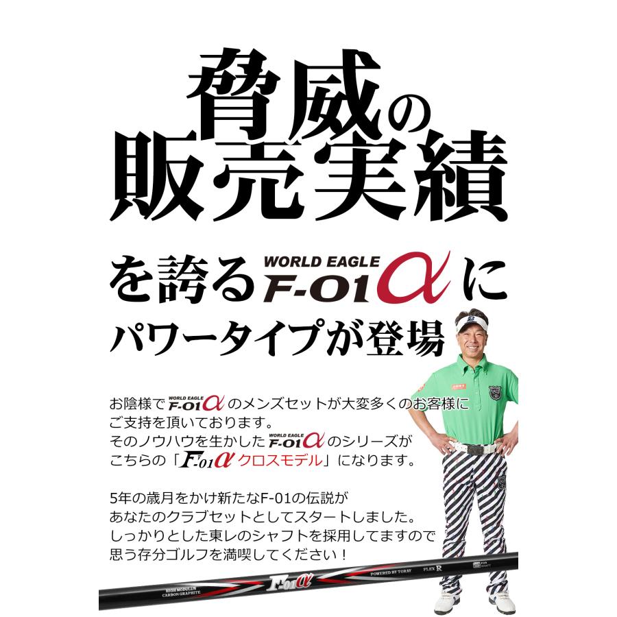 ゴルフ クラブセット F-01 クロス メンズ クラブ 14点（11本）セット 選べるスタンドバッグ付き 初心者 中級者 フレックスR S 右用 ワールドイーグル｜worldgolf｜11