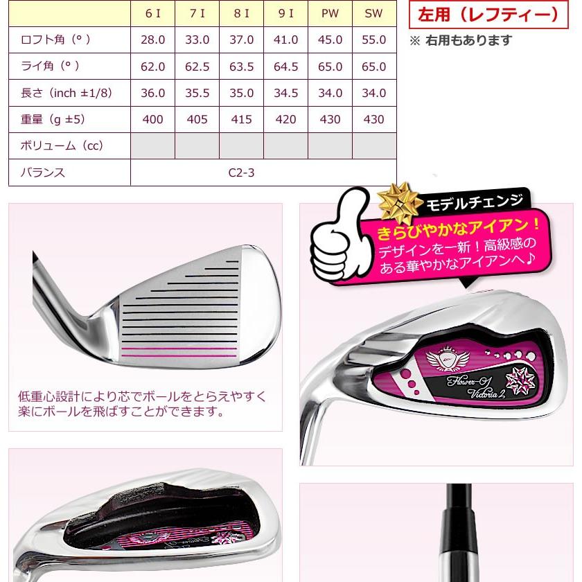 WORLD EAGLE アイアンセット ゴルフクラブ ワールドイーグル WORLD EAGLE アイアンセット ゴルフクラブ ワールドイーグル