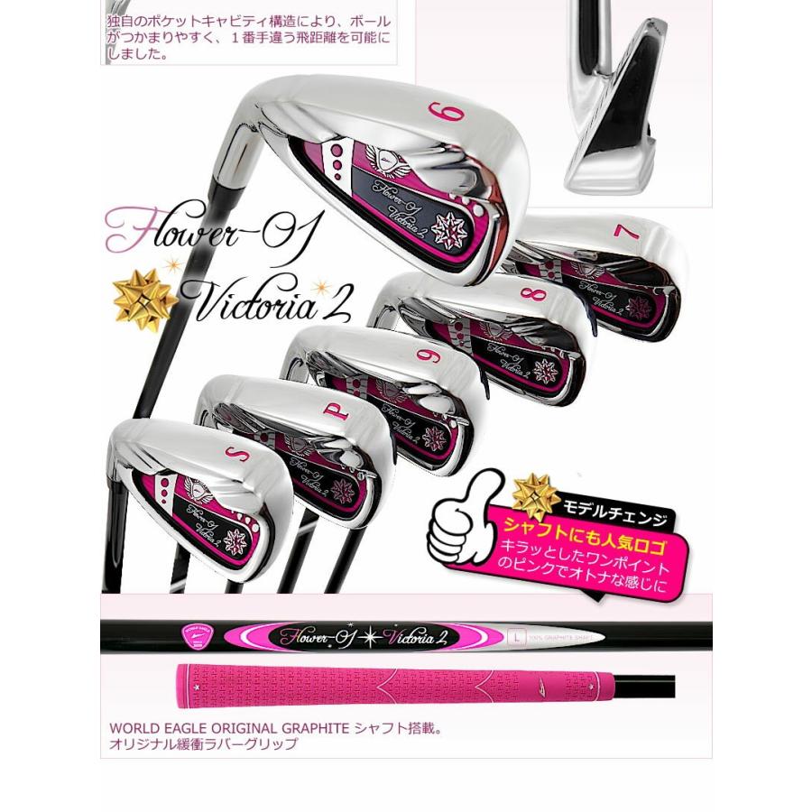 WORLD EAGLE アイアンセット ゴルフクラブ ワールドイーグル