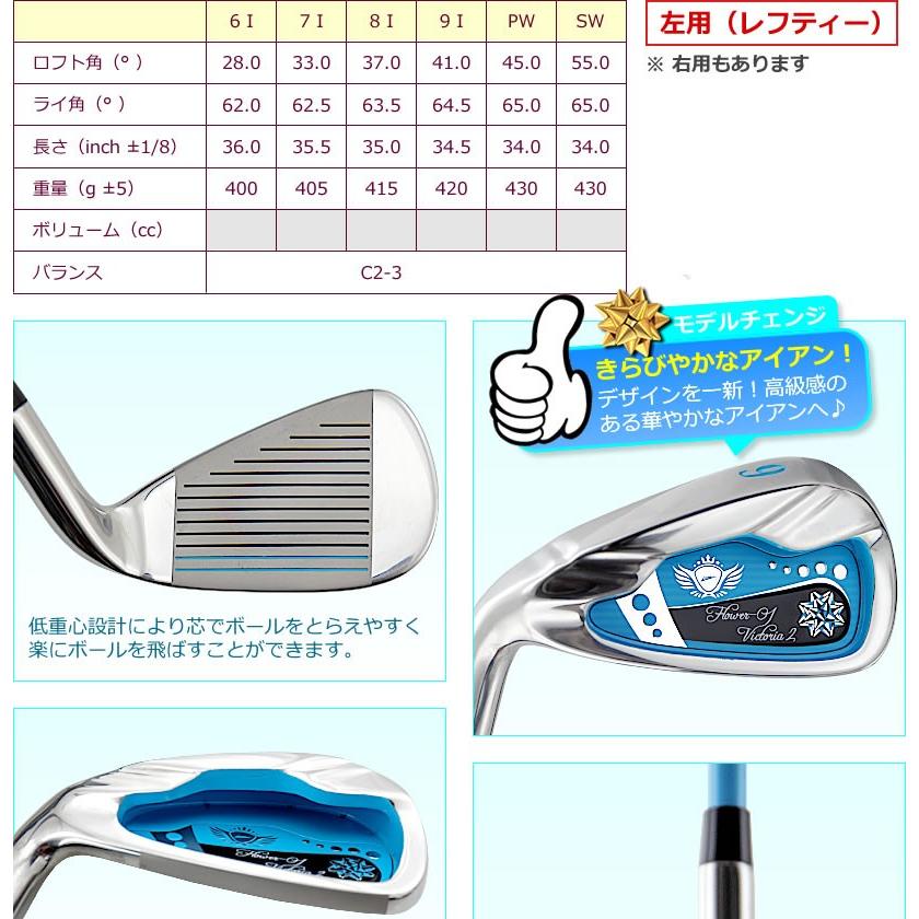 WORLD EAGLE アイアンセット ゴルフクラブ ワールドイーグル