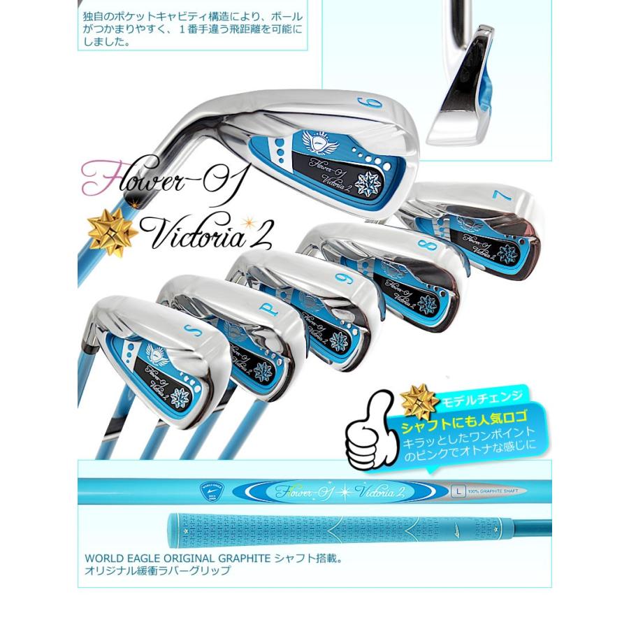 WORLD EAGLE アイアンセット ゴルフクラブ ワールドイーグル