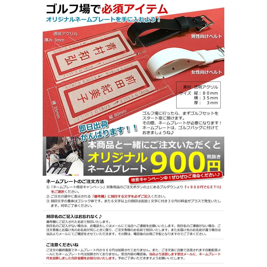WORLD EAGLE アイアンセット ゴルフクラブ ワールドイーグル