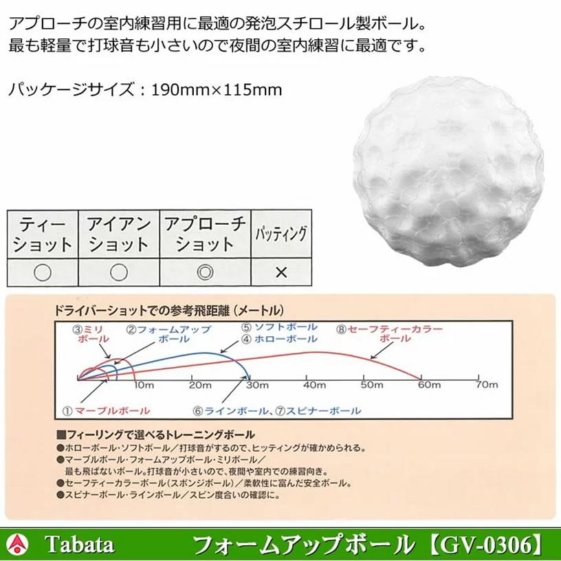 タバタ フォームアップボール GV-0306 【IR】 |  | 02