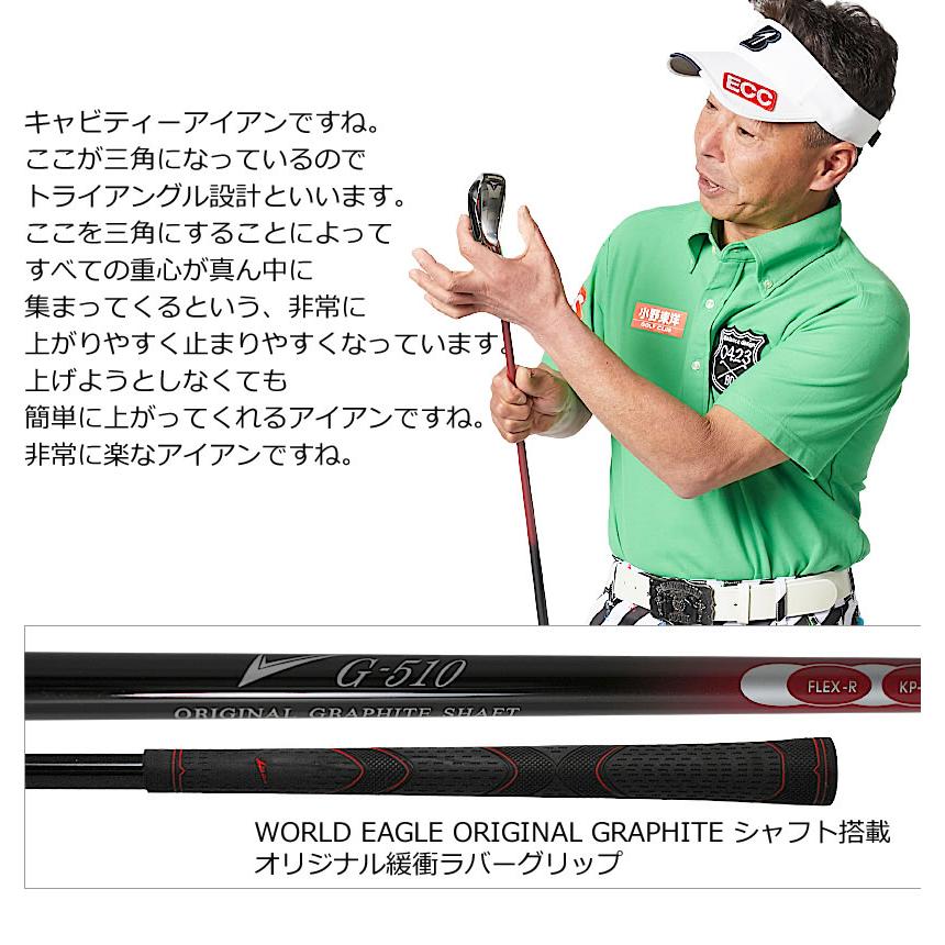 ゴルフクラブセット ワールドイーグル メンズ WE-G510 16点（12本）ゴルフセット キャディーバッグ付 シルバー 右用 初心者 新品 爆買 | WORLD EAGLE | 15