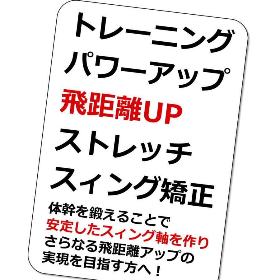 WORLD EAGLE パワードッキースイング WE-PDS ワールドイーグル 爆買
