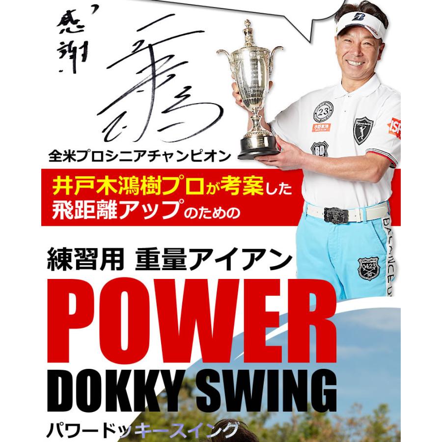 ワールドイーグル パワードッキースイング WE-PDS HEAVY 800g WORLD EAGLE パワードッキースイング WE-PDS ワールドイーグル 爆買