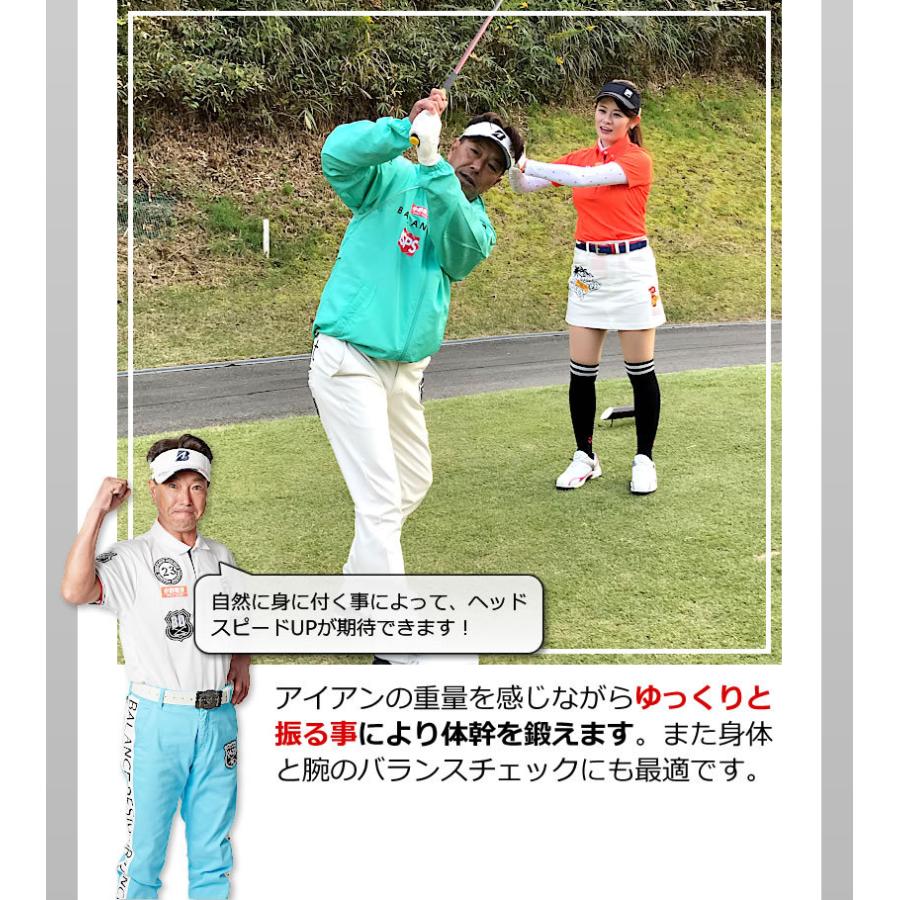 WORLD EAGLE パワードッキースイング WE-PDS ワールドイーグル 爆買