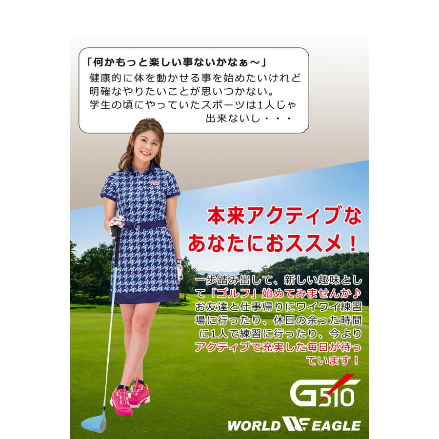 WORLD EAGLE ゴルフクラブセット ワールドイーグル レディース WE-G510