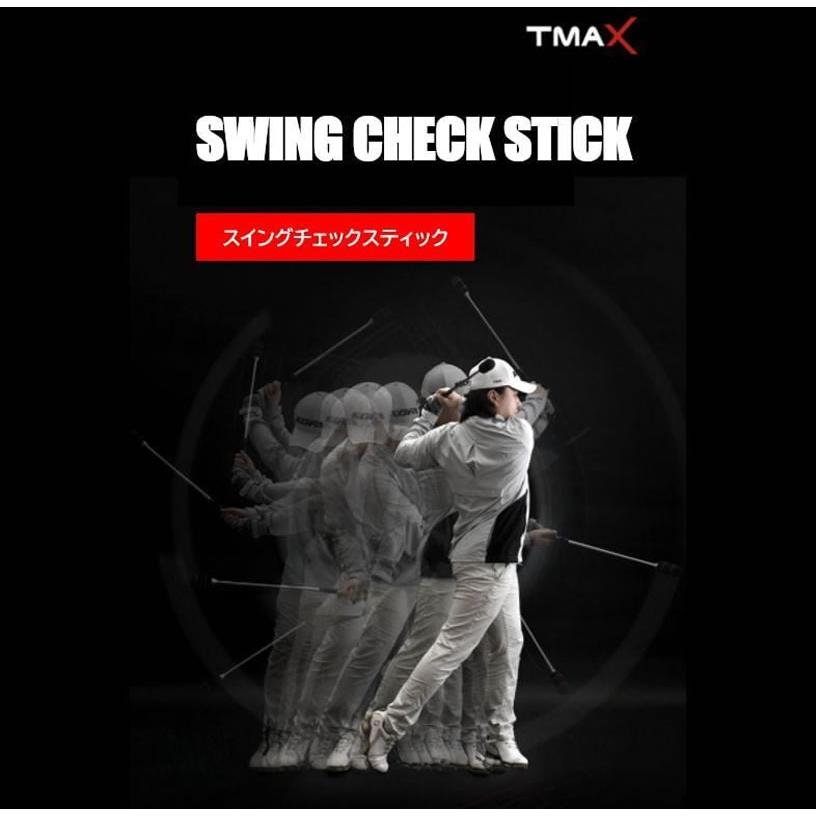 エジソンゴルフ スイングチェックスティック SWING CHECK STICK 【IR】 |  | 01