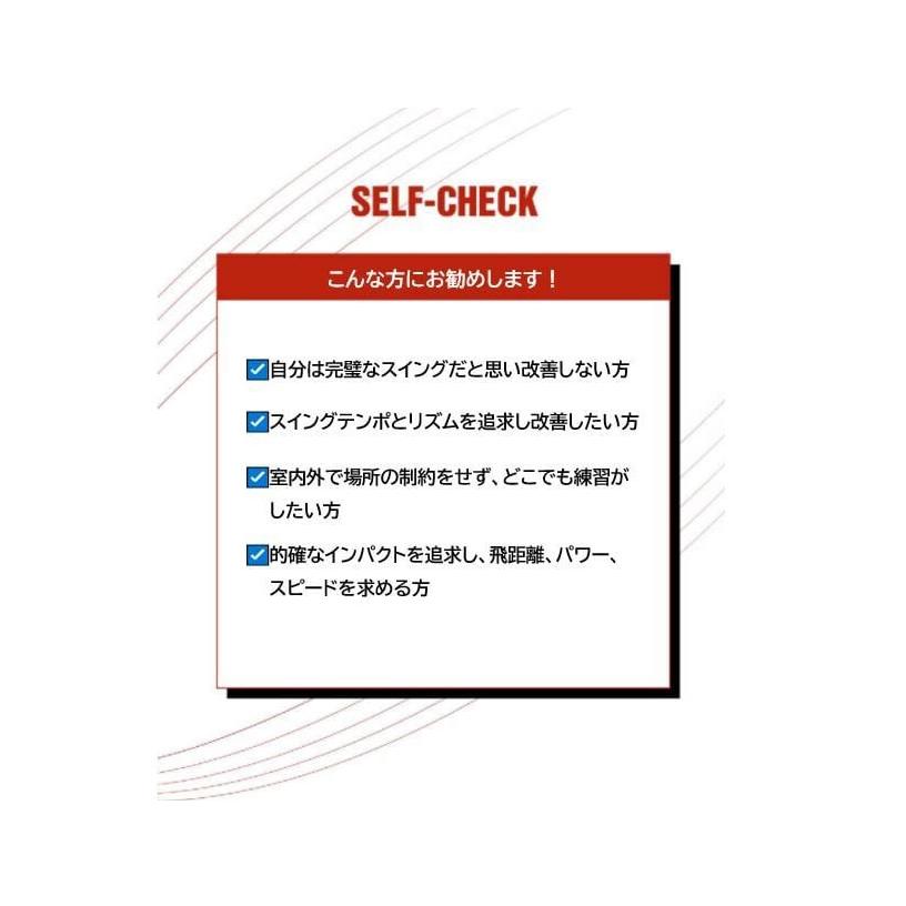 エジソンゴルフ スイングチェックスティック SWING CHECK STICK 【IR】 |  | 06