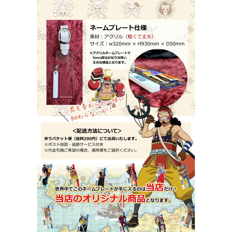 ワンピース シースルー ネームプレート TA-STNP100V-VH 名入れサービス