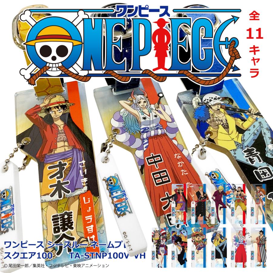 ワンピース シースルー ネームプレート TA-STNP100V-VH 名入れサービス