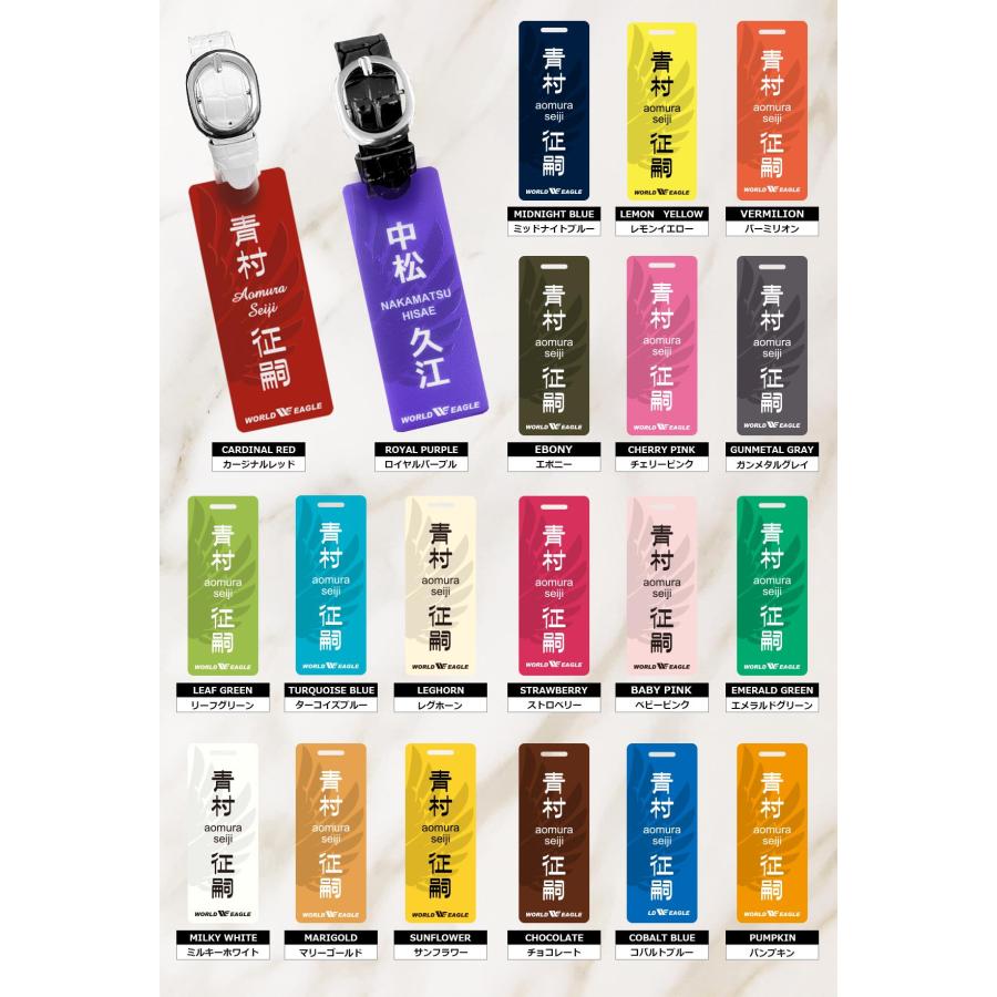 WORLD EAGLE ウイング 100S ネームプレート WE-WNUV100S-VL