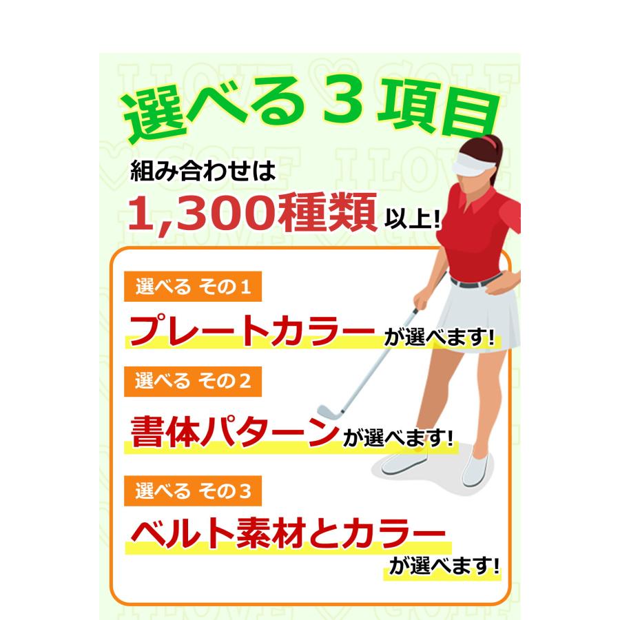 WORLD EAGLE ゴルファー 100S ネームプレート WE-GFUV100S-VL