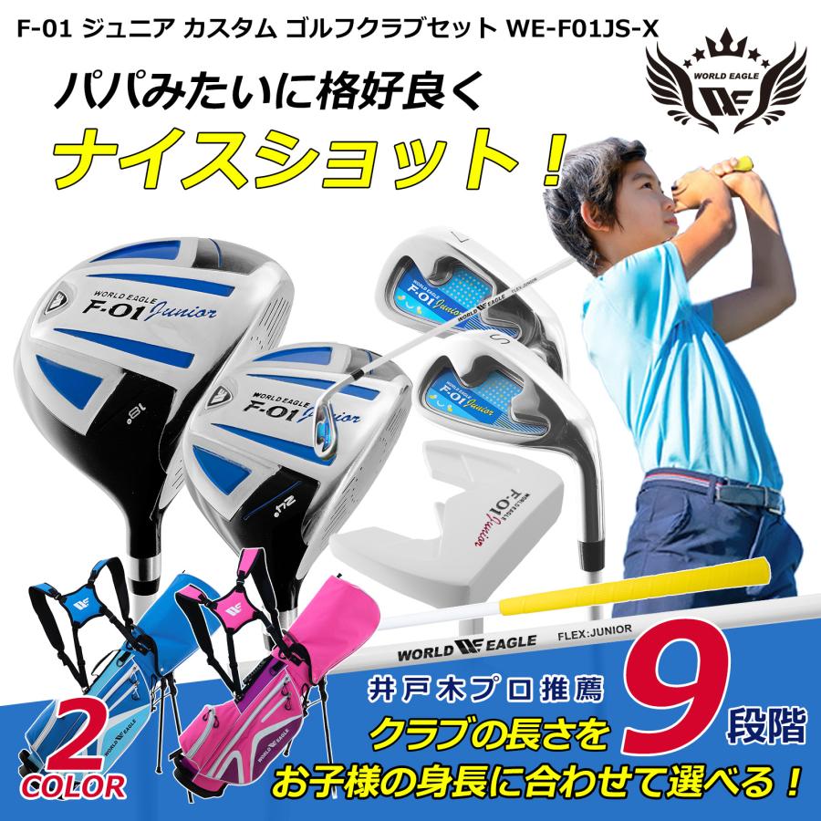 WORLD EAGLE ワールドイーグル ジュニア カスタム ゴルフクラブ5本