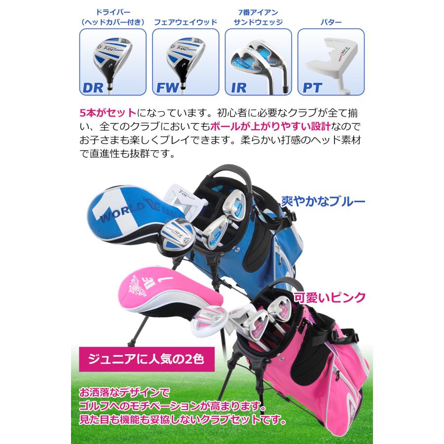 WORLD EAGLE ワールドイーグル ジュニア カスタム ゴルフクラブ5本