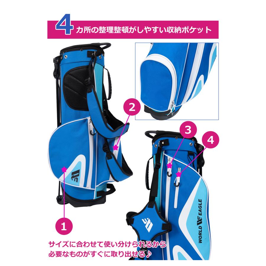 WORLD EAGLE ワールドイーグル ジュニア カスタム ゴルフクラブ5本