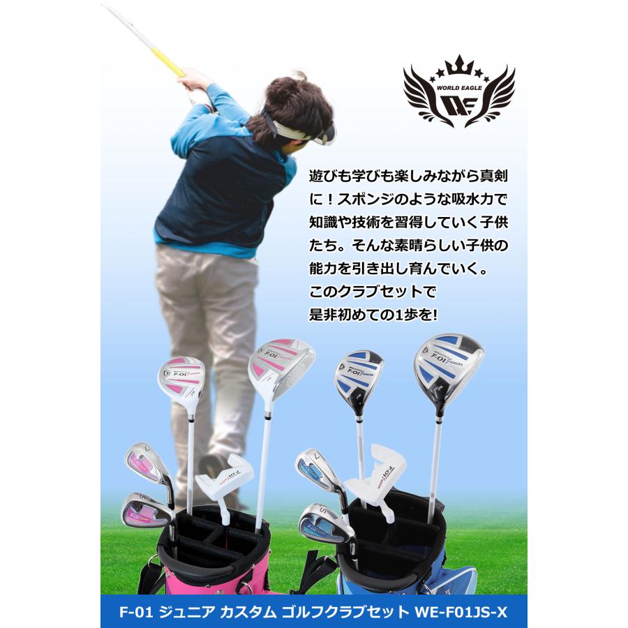 WORLD EAGLE ワールドイーグル ジュニア カスタム ゴルフクラブ5本