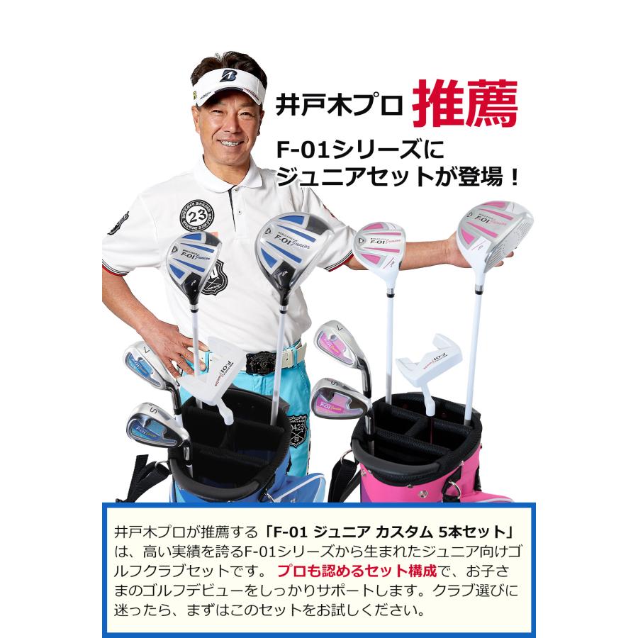 WORLD EAGLE ワールドイーグル ジュニア カスタム ゴルフクラブ5本