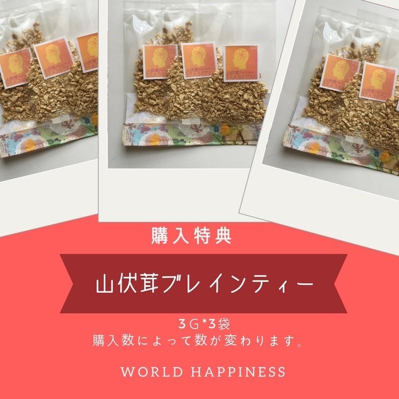 アガリクス 細胞壁破壊高濃度細粒 ブラゼイ 2箱以上購入特典有り山伏茸 
