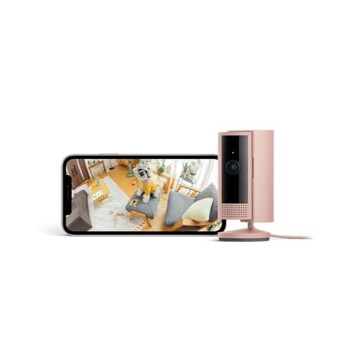 Ring Indoor Cam (リング インドアカム) 第2世代 ブラッシュ 軽量小型