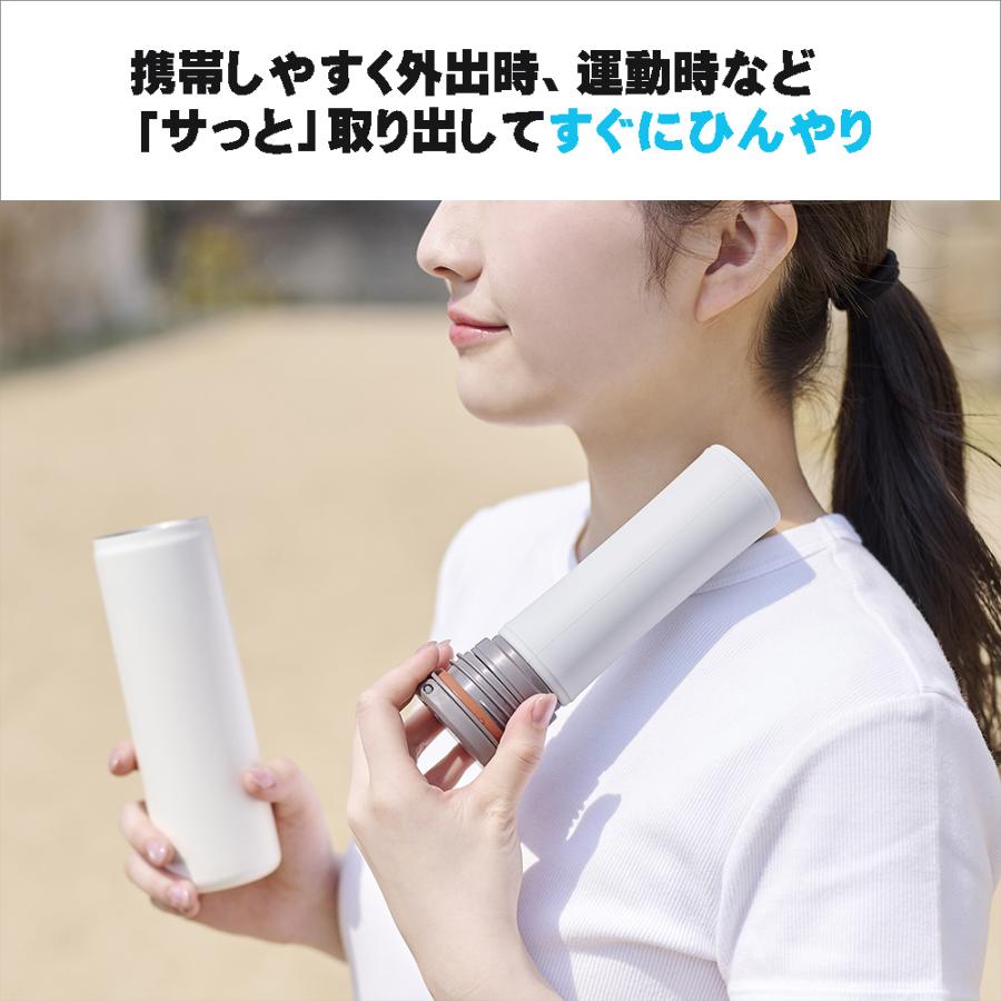 ReachWill 魔法瓶】Eco Stick エコスティック 0.13L 【アイスパック 氷