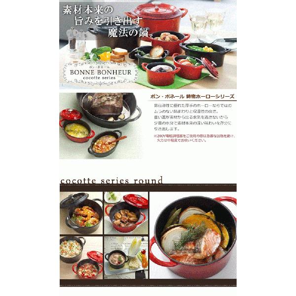 イシガキ ボンボネール ココット 22cm レッド #3631 : outletshop