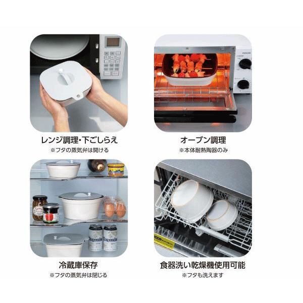 イシガキ イシガキ産業 デリッシュライフ 料理ができるお皿 スクエア M