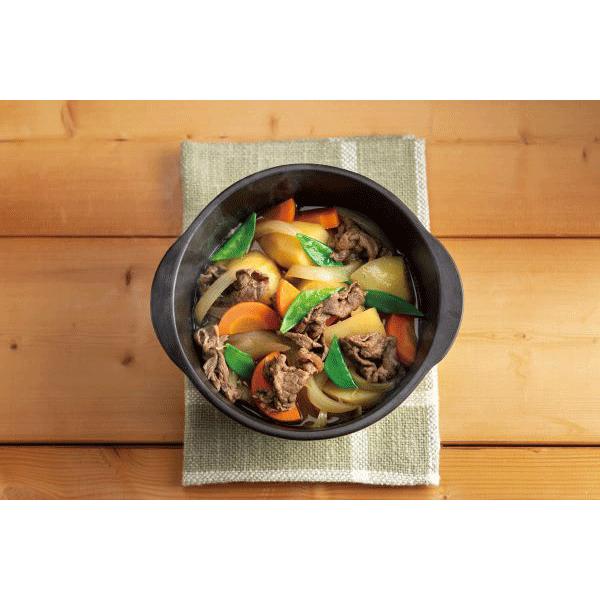 イシガキ イシガキ産業 デリッシュライフ 料理ができるお皿 ラウンド L